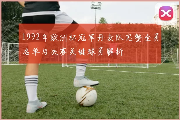 1992年欧洲杯冠军丹麦队完整全员名单与决赛关键球员解析