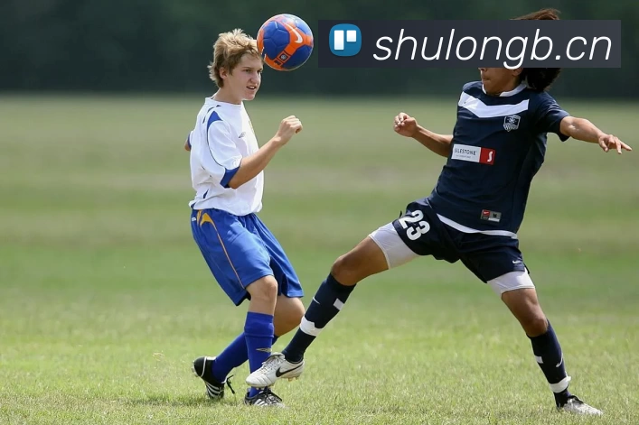 数据防护可视化